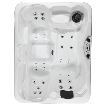 Kona PZ-535L hot tubs for sale in hot tubs spas for sale Indianapolis